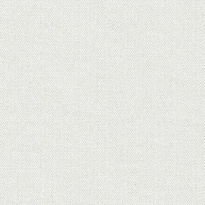 GreenScreen Revive®, 00.20 White